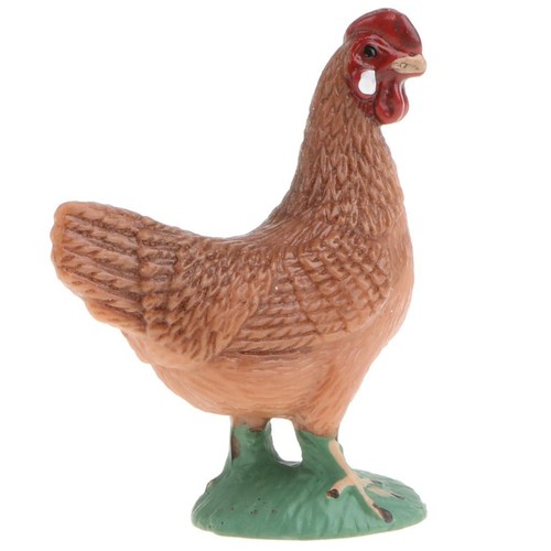 Réaliste poulet poule ferme - réaliste,