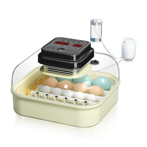 Incubateur automatique - incubateur,