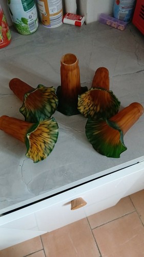 Lot tulipes lustre - lot, de