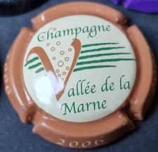 Lot lettre V3 - VALLEE DE LA MARNE / CAPSULE PLAQUE MUSELET CHAMPAGNE 2006