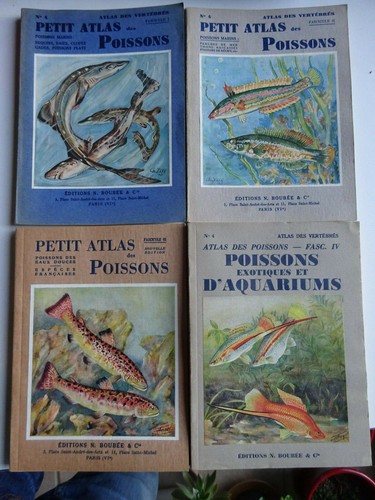 Petit atlas des poissons - atlas,