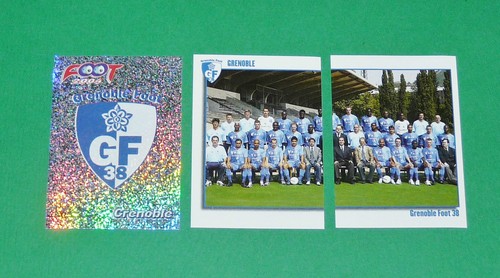Panini football foot 2004 - panini,