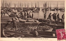 CPA 29 - DOUARNENEZ (Finistère) - 64. Canot chargé de Thons