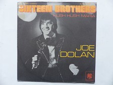 JOE DOLAN Sixteen brothers 45