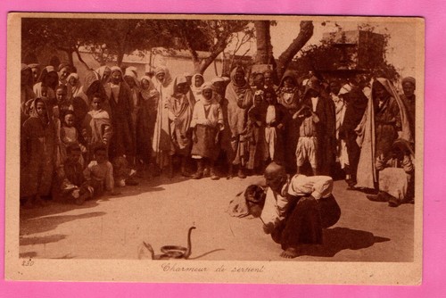 Cpa algerie 230 - algerie, landrock