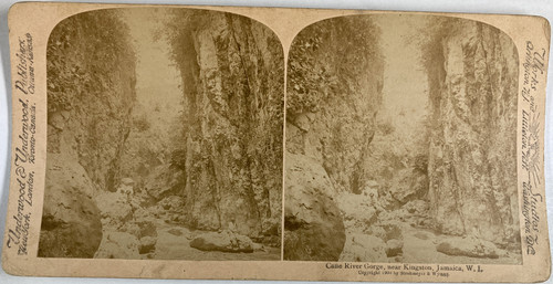 Jamaïque fleuve canne - fleuve,