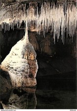38 - Pont en Royans - Grottes de Choranche - Rstuleuses dans la galerie du sipho