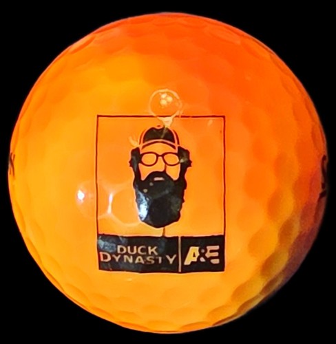 Duck dynasty logo - duck,