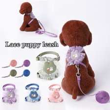 Harnais Pour Animaux De Compagnie Chats Lapins Laisse Sangle De Poitrine /