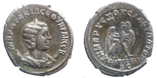 Otacilia tetradrachme - otacilia,