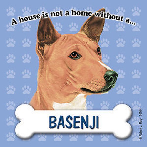 Basenji magnétiseur la - magnétiseur,