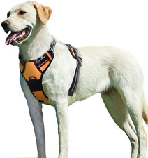 Harnais Chien taille L, Anti Traction pour Chien, Facile a Mettre, avec poignee