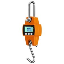 Balance de grue numérique