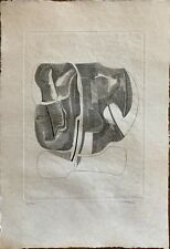 Mario Molteni Acquaforte