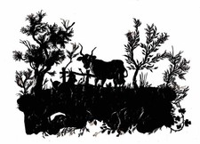 LA VACHE ET LA CHÈVRE - ombre