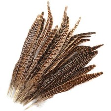 20pcs Plumes de Faisan pour Artisanat et Décoration de Chapeau Spectacle Lois...