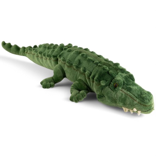 Crocodile carl dick environ - dick,