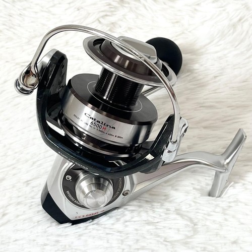 Moulinet pêche daiwa - de,