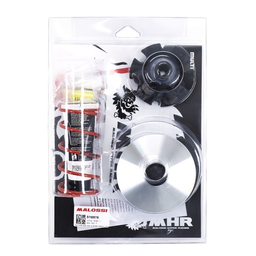 Variateur scoot malossi