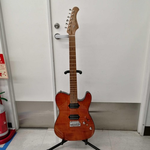 Guitare électrique bacchus - guitare,