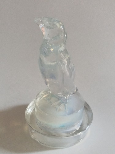 Mascotte pingouin verre - mascotte,
