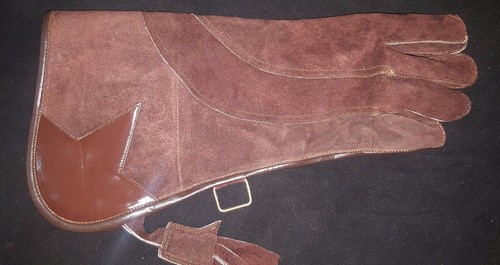 Fauconnerie aigle chouette - fauconnerie,, aigle,