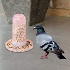 Accessoires pour cage à