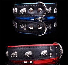 Motif Collier anglais bulldog