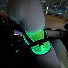 Harnais pour chien LED RGB