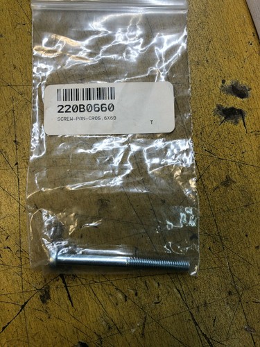 Vis 6x60 kawasaki 220b0660 - 1,