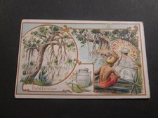 CHOCOLAT SALAVIN - le paletuvier