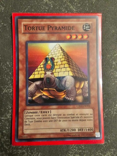 Tortue pyramide cp02 - tortue,