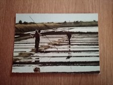 Carte Postale - ile de ré -