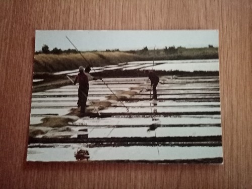 Carte postale ile - carte,