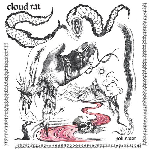 Cloud rat pollinator - cloud,