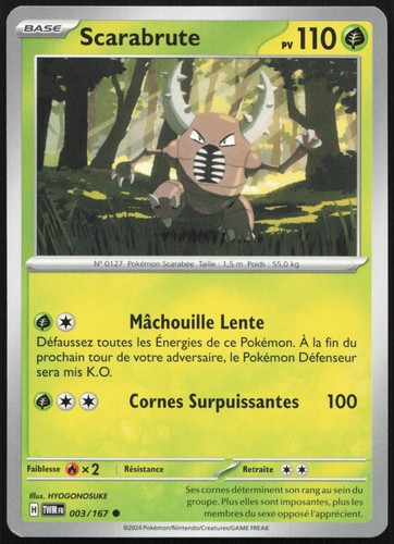 Carte pokémon scarabrute - carte,
