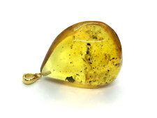 Pendentif Ambre Insecte Cadeau