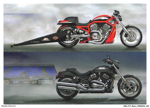 Arnp17 1000 moto the - arnp17-1000-moto,