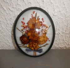 ANCIEN CADRE VERRE BOMBE FLEURS SECHEES