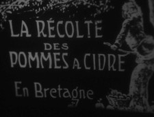 Récolte des pommes à cidre en Bretagne (1923) Film 9,5 mm
