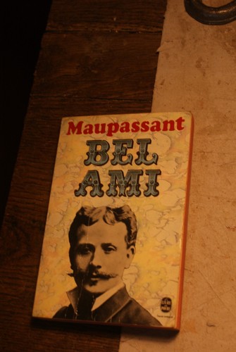 Livre poche bel ami - livre,