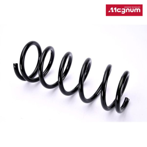 Suspension spring magnum - suspension,