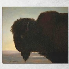 Tête De Buffle Albert