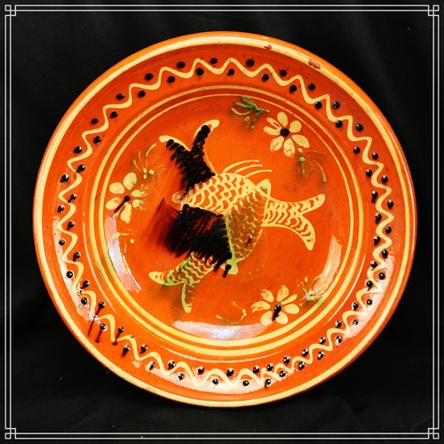 Splendide plat terre - splendide, en