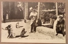 CPA, ALGÉRIE, BLIDA, Gorges