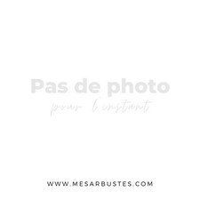 Pommier – Porte-greffe