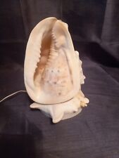 ancienne lampe coquillage