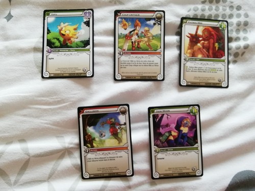 Lot cartes wakfu - lot,