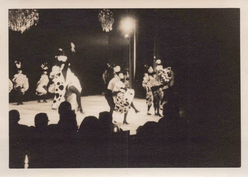 Cabaret showgirls feather - cabaret,