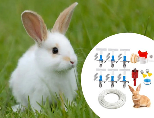 User centric pour - user,